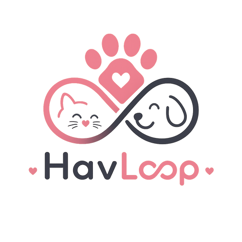 HavLoop™ Akıllı İnteraktif Top